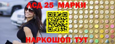 гашик Будённовск