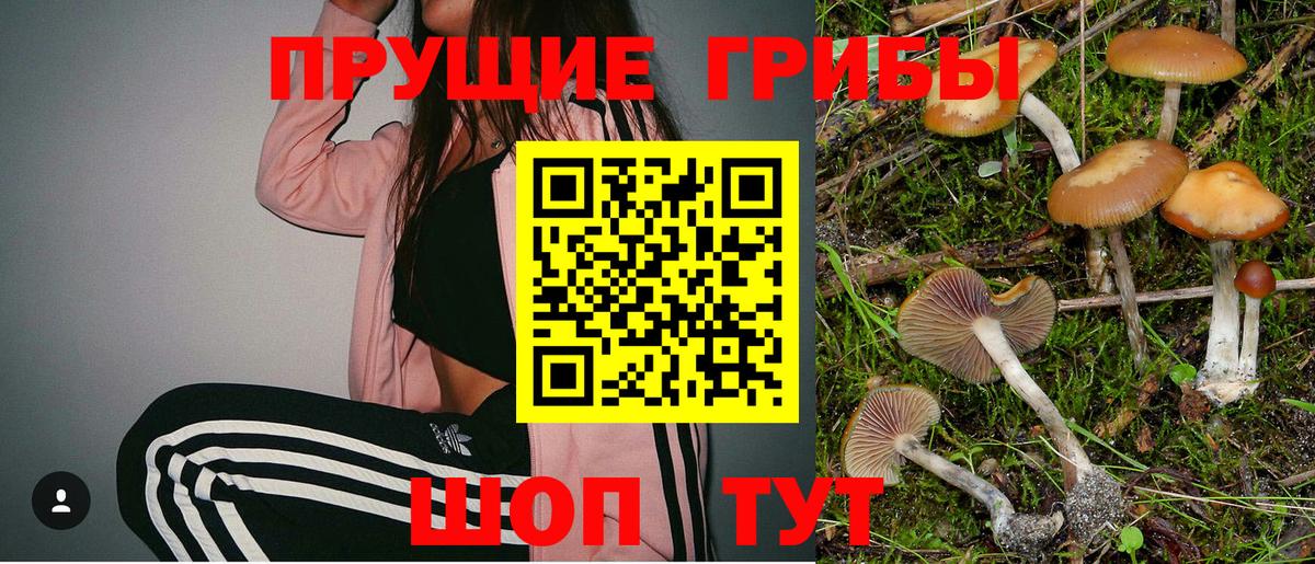 Североморск  Псилоцибиновые грибы Magic Shrooms  Вход с VPN 